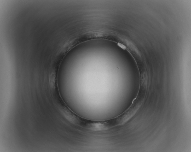 X0000110940509200906191233