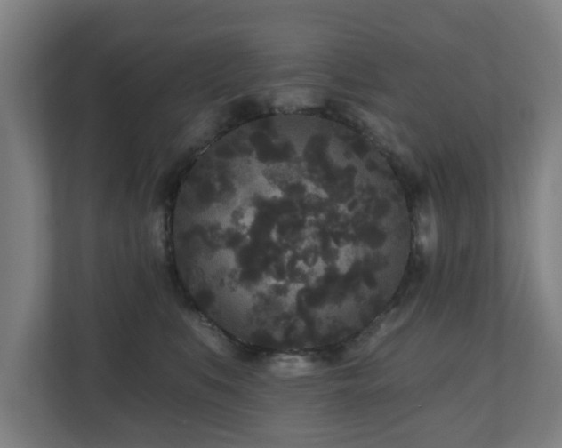 X0000110940519200906191233