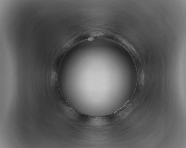 X0000110940521200906191233