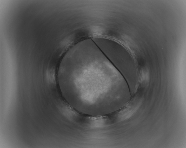 X0000110940524200906191233