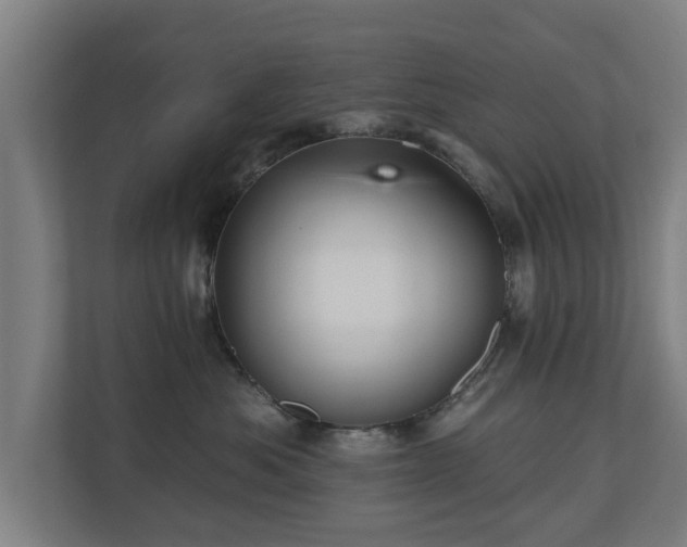 X0000110940525200906191233