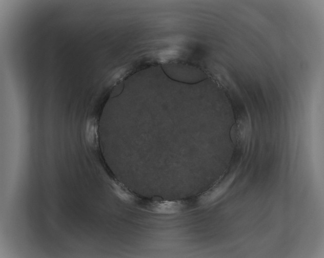 X0000110940527200906191233