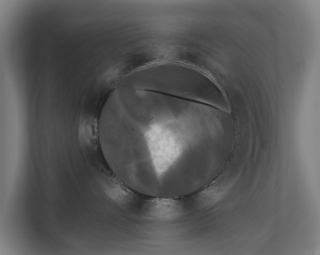 X0000110940528200906191233