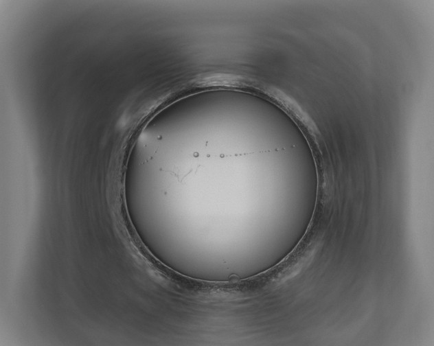 X0000110940529200906191232