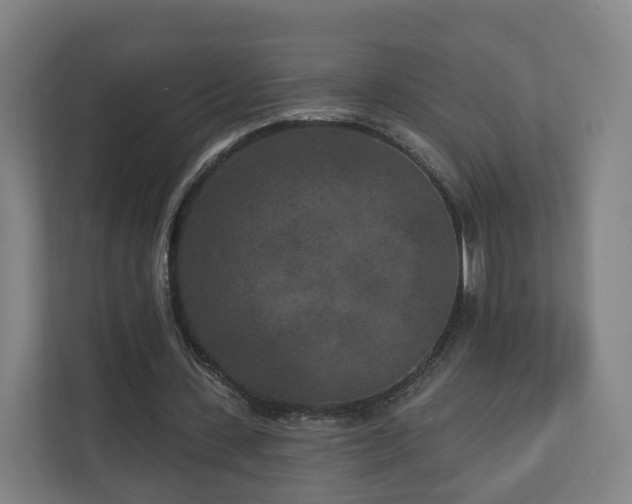 X0000110940531200906191232