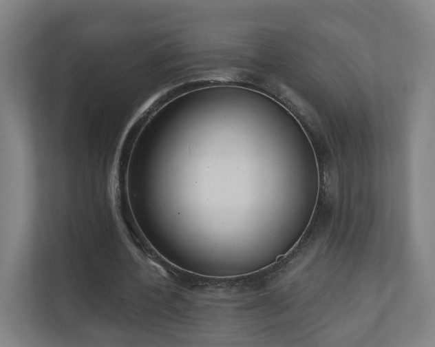 X0000110940532200906191232