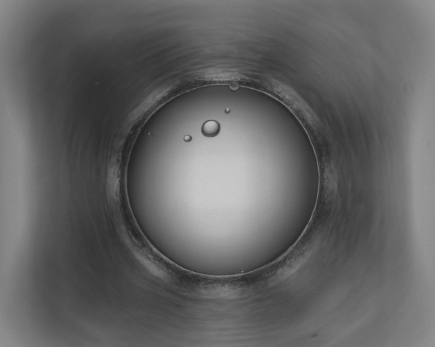 X0000110940533200906191232