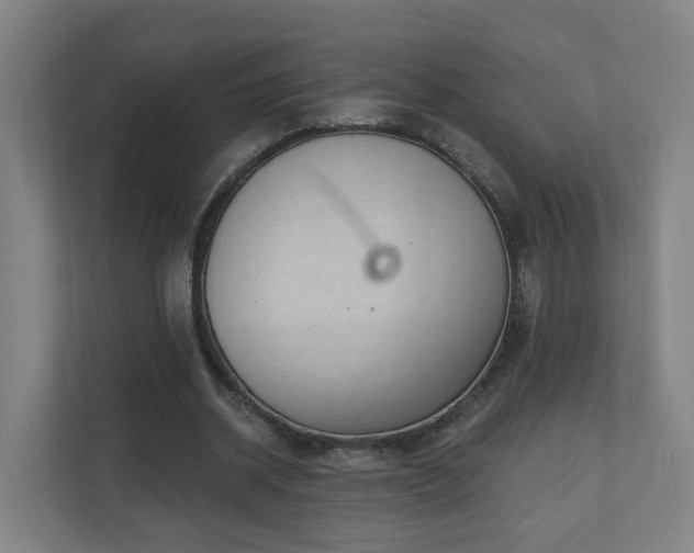 X0000110940534200906191232