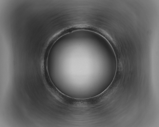 X0000110940535200906191232