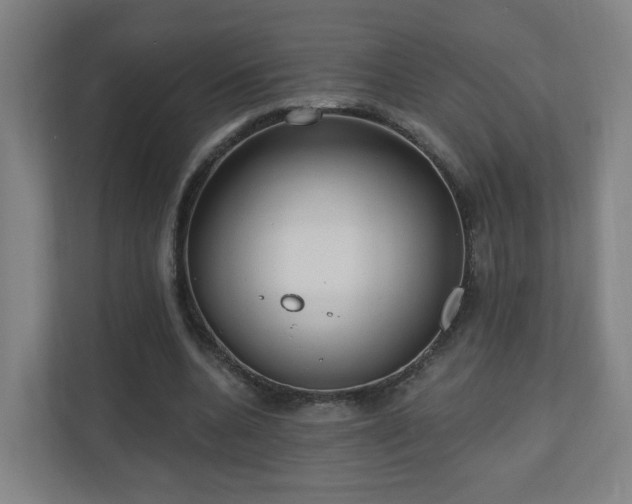 X0000110940536200906191232