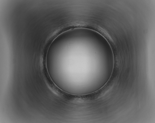 X0000110940538200906191232