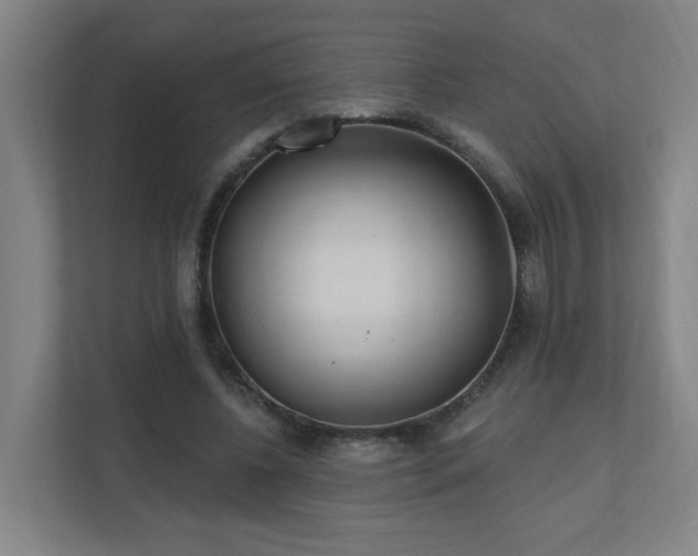 X0000110940540200906191232