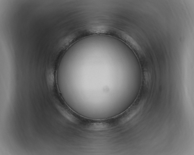 X0000110940541200906191232