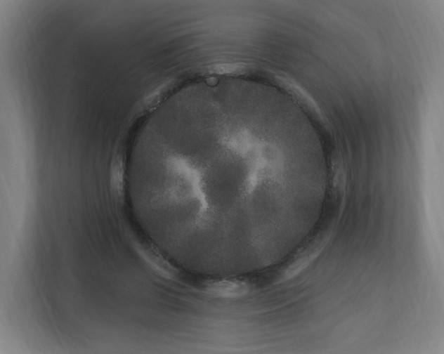 X0000110940542200906191232