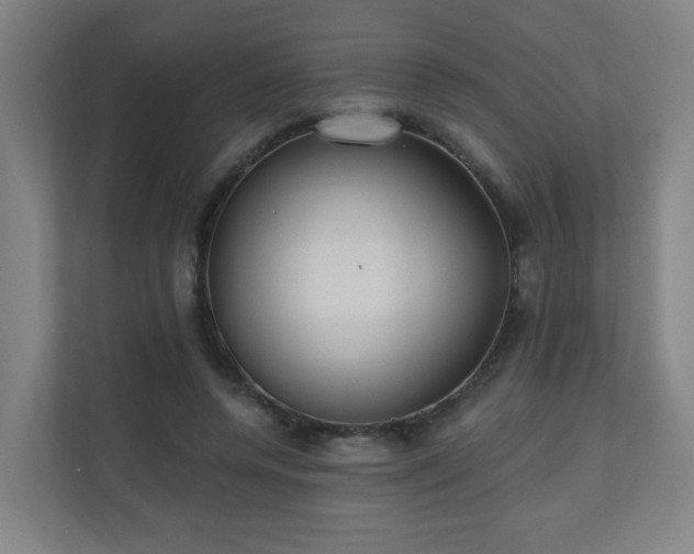 X0000110940544200906191232