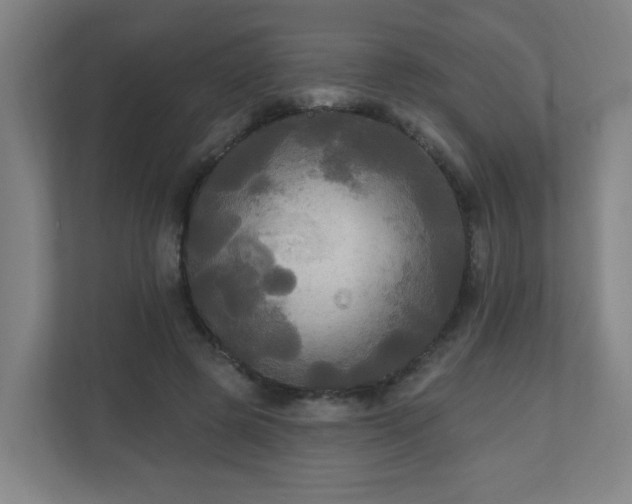 X0000110940545200906191232