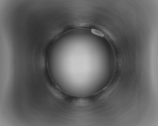 X0000110940546200906191233