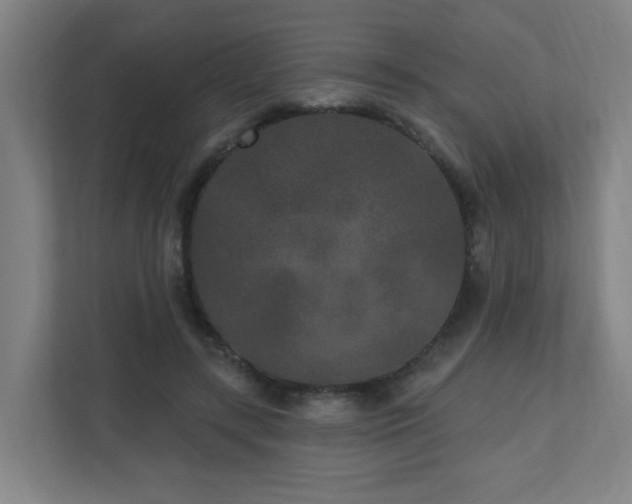 X0000110940547200906191233