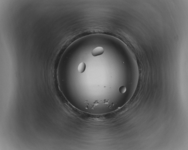 X0000110940548200906191233