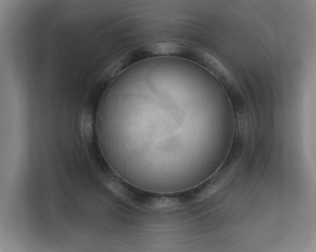 X0000110940549200906191233