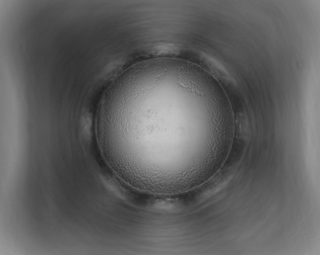 X0000110940550200906191233