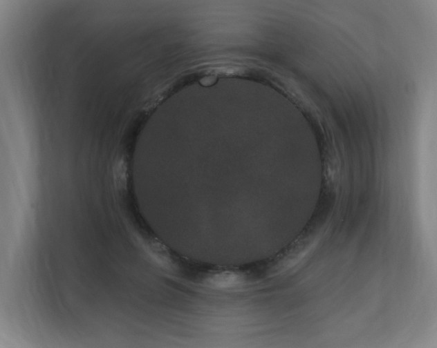 X0000110940551200906191233