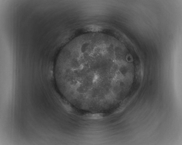 X0000110940553200906191233