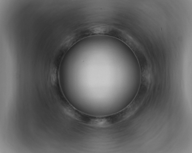 X0000110940554200906191233