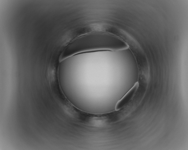 X0000110940556200906191233