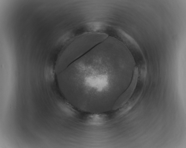 X0000110940558200906191233