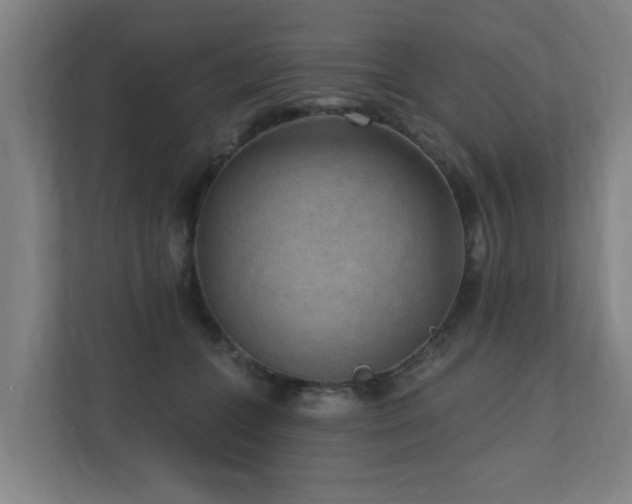 X0000110940559200906191233