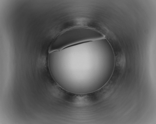 X0000110940560200906191233