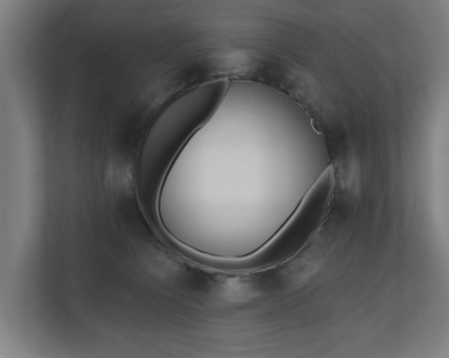 X0000110940564200906191233