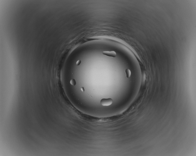 X0000110940566200906191233