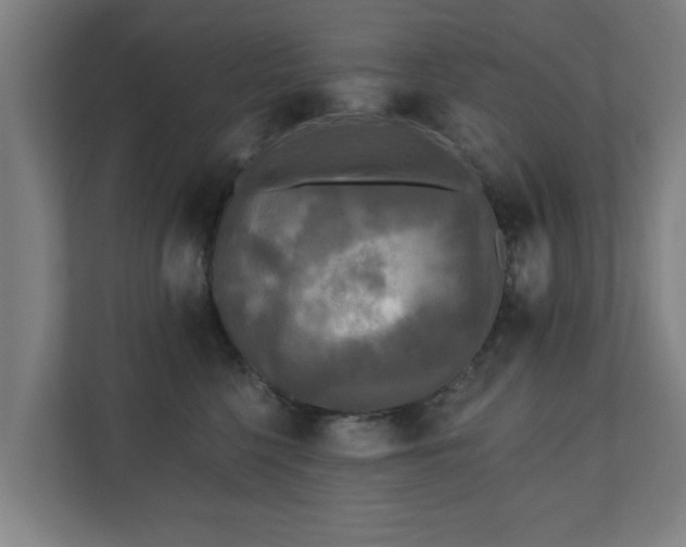 X0000110940568200906191233