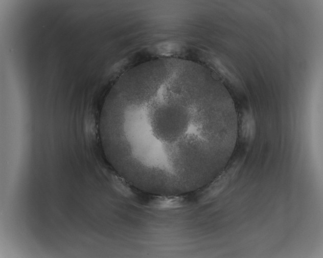 X0000110940569200906191233