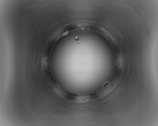 X0000110940571200906191233