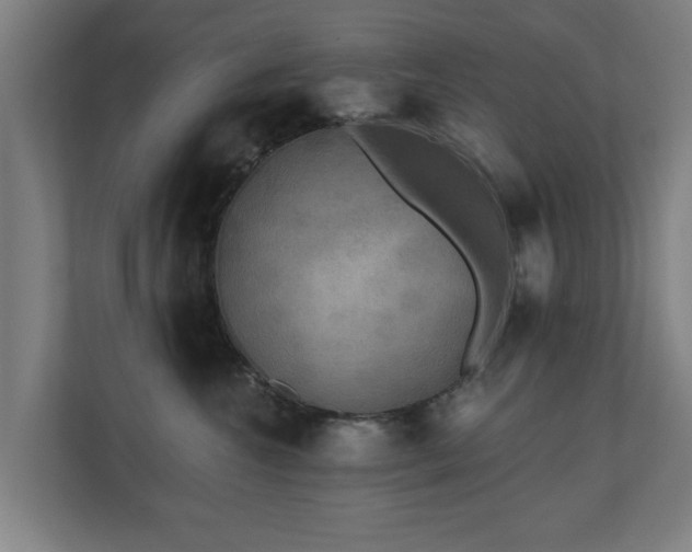 X0000110940572200906191233