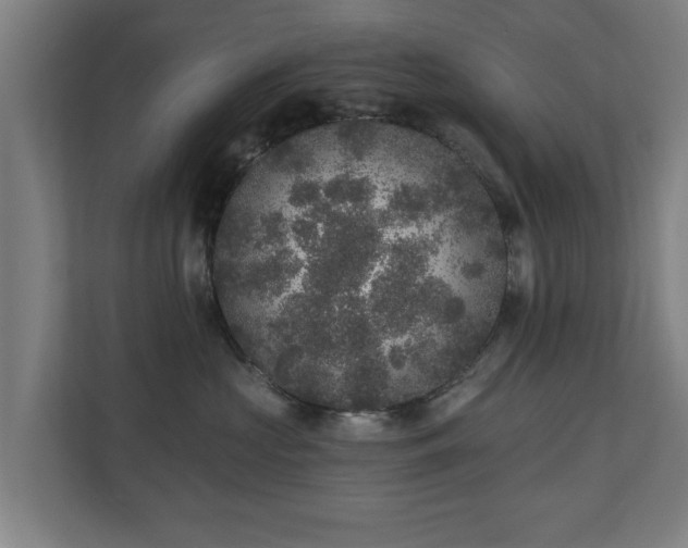 X0000110940573200906191233