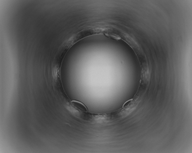 X0000110940574200906191233