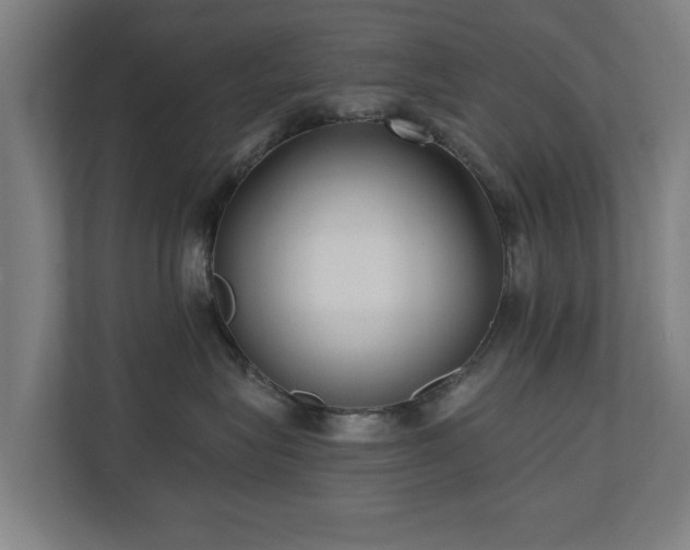 X0000110940575200906191233