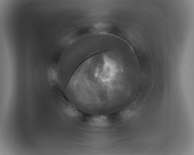 X0000110940576200906191233