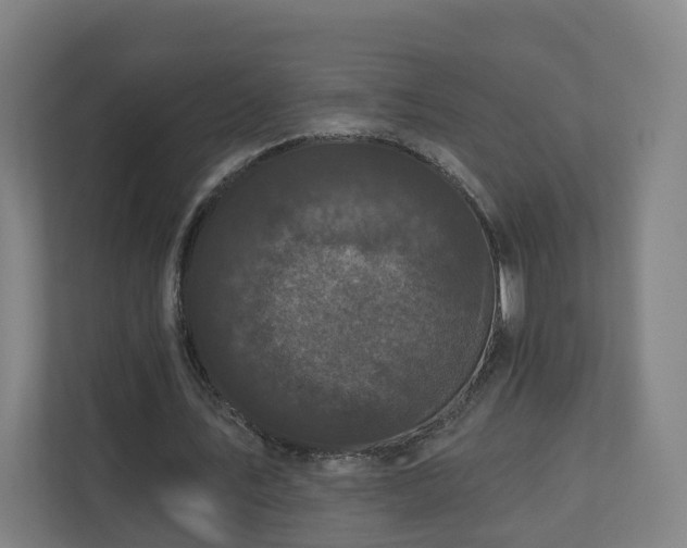 X0000110940579200906191232