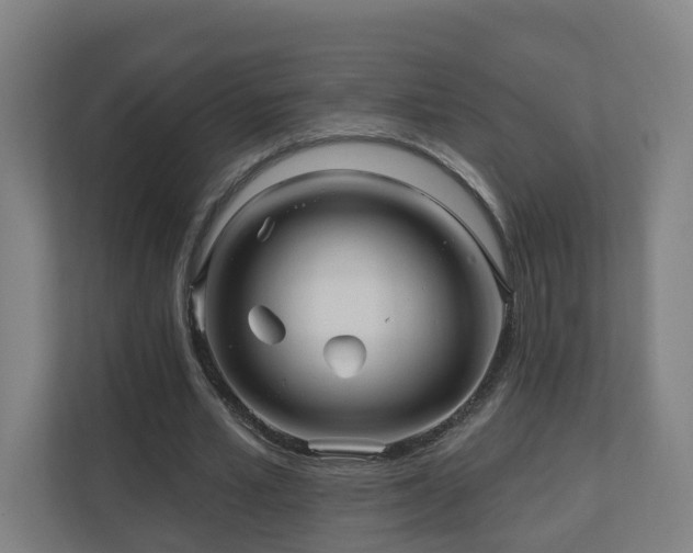 X0000110940581200906191232