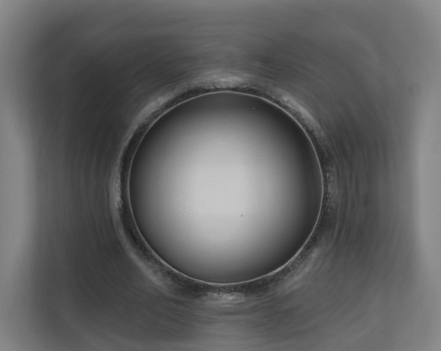 X0000110940582200906191232