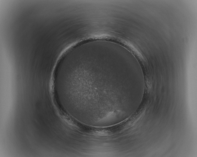 X0000110940583200906191232