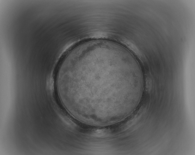 X0000110940584200906191232