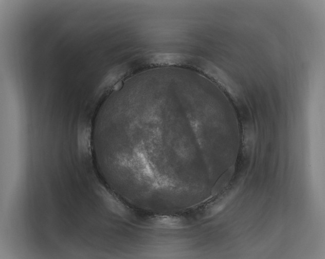 X0000110940585200906191232