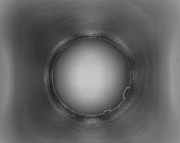 X0000110940587200906191232