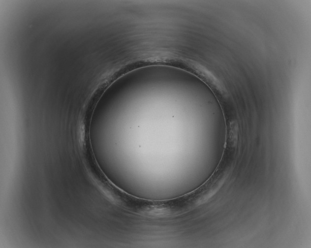 X0000110940589200906191232